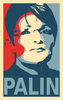 Palin Face Palin Image