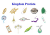 Protist Examples Image