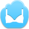 Bra Icon Image