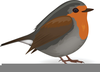 Robin Redbreast Clipart Image