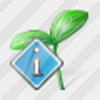 Icon Sprouts Info Image