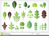 Free Clipart Vegetables Image