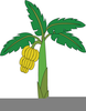 Bananas Clipart Image