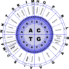 Genetic Code Md Image