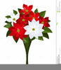 Christmas Poinsettias Clipart Image