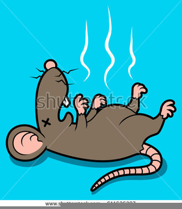 Dead Rat Clipart Image