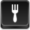 Fork Icon Image