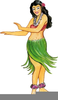 Hawaiian Hula Dancer Clipart Image