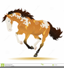 Buckskin Clipart Image