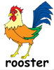 Clipart Picture Of A Rooster Image