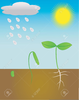 Rain And Sun Clipart Image