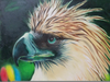 Philippine Eagle Art Image