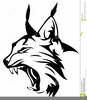 Clipart Of A Bobcat Image