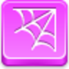 Spider Web Icon Image