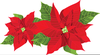 Poinsettia Plant Clipart Image