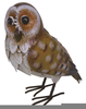Ornamental Owls Uk Image
