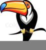 Free Big Bird Clipart Image