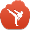 Karate Icon Image