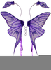 Luna Moth Clipart Image