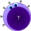 T-cell No Sign Clip Art