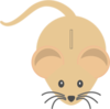 Light Coloured Mouse Clip Art