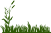 Grass Clip Art