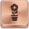 Pot Flower Icon Image