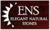 Ens Logo Image