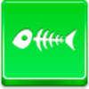 Fish Skeleton Icon Image