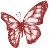 Picture Image