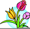 Spring Animated Clipart Free Image