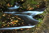 Mountain Stream In Autumn Sxwr Image