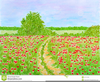 Summer Flower Clipart Image