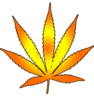 Cannabis Leaf Image