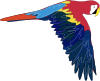 Parrot Clip Art