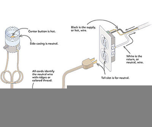 Lamp Cord Polarity Image