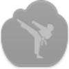 Karate Icon Image