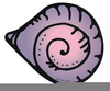 Conch Shell Clipart Image