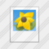 Icon Thumbnail 1 Image