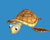 Turtle Image