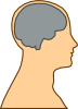 Medical Diagram Of Brain Clip Art