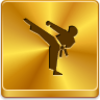 Karate Icon Image