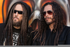 Korn Dreads Image