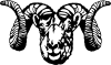 Dall Sheep Ram Clip Art