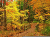 Autumn Motorcycle Clipart Image