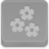 Flowers Icon Image