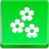 Flowers Icon Image