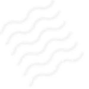 Dude4 Image
