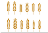 Free Wheat Stalk Clipart Image