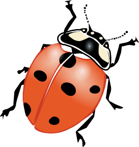Ladybug Clip Art